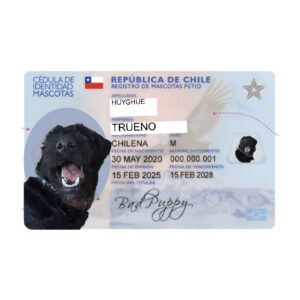 Chilean Green card for Trueno | Carnet Chileno para Trueno
